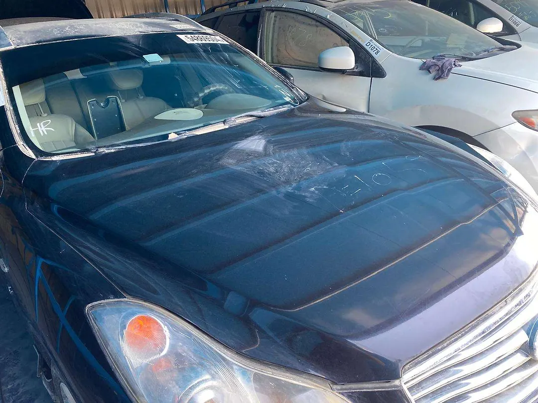 Hood/Bonnet - 2015 Infiniti QX50