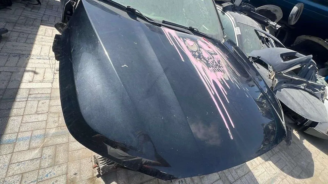 Hood/Bonnet - 2019 GMC Acadia