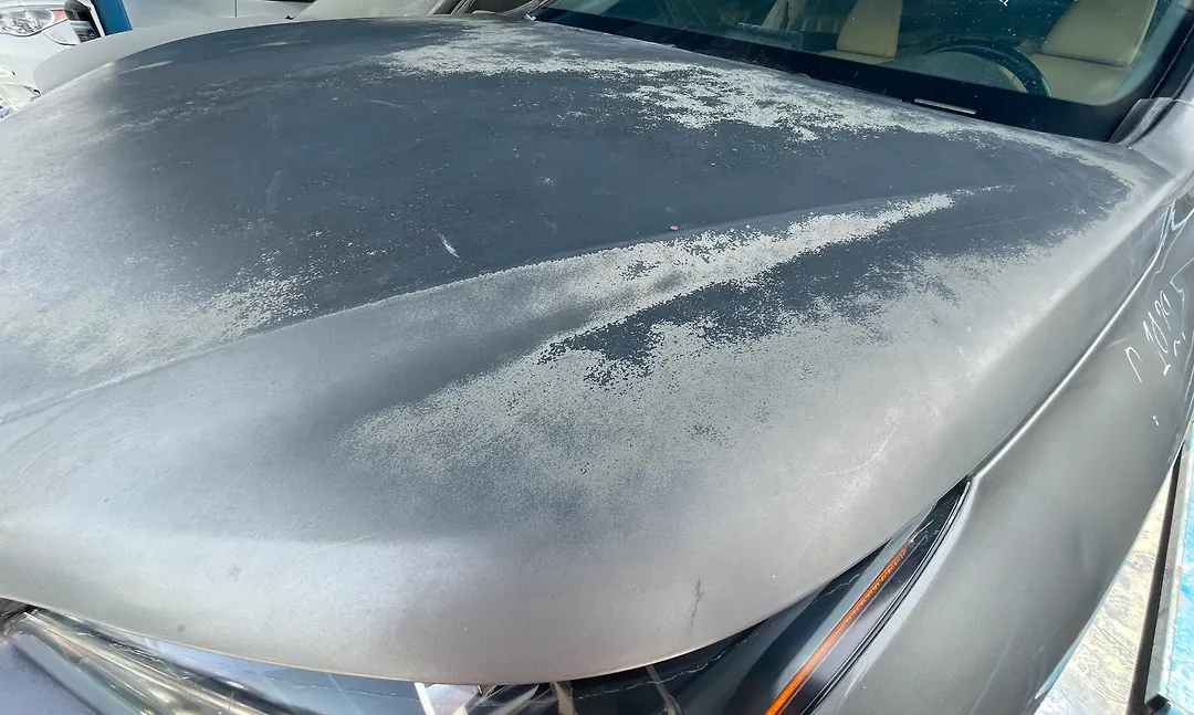 Hood/Bonnet - 2020 Lexus NX300