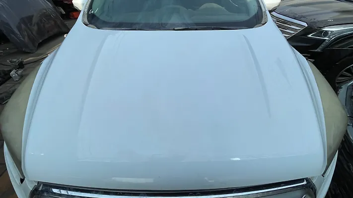 Hood/Bonnet - 2019 Ford Escape