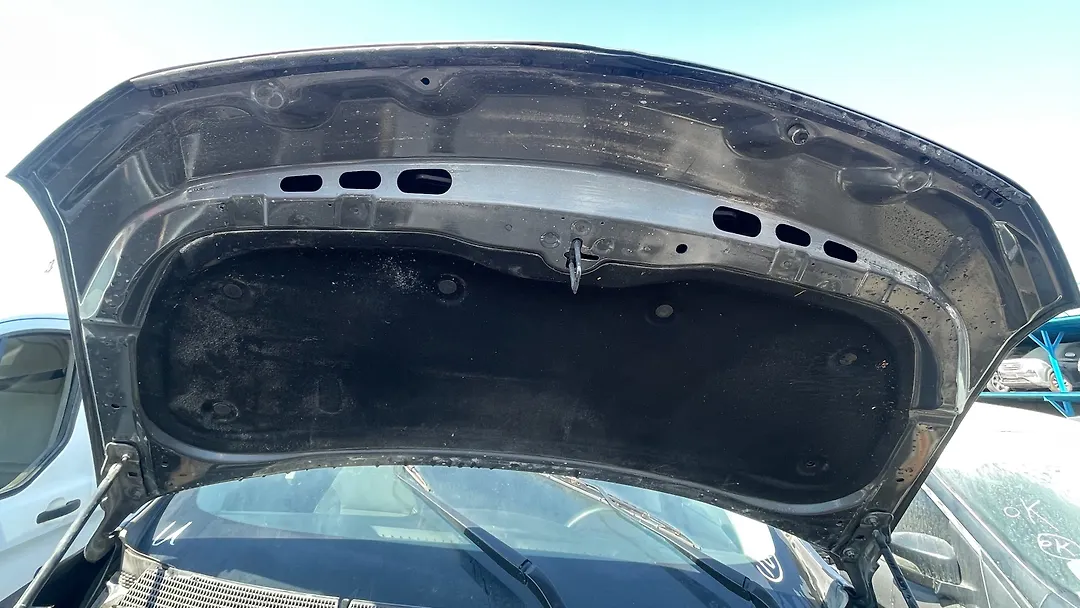 Hood/Bonnet - 2019 Chevrolet Traverse LS