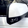 Side Mirror (RH) - 2012 Land Rover RANGE ROVER SPORT
