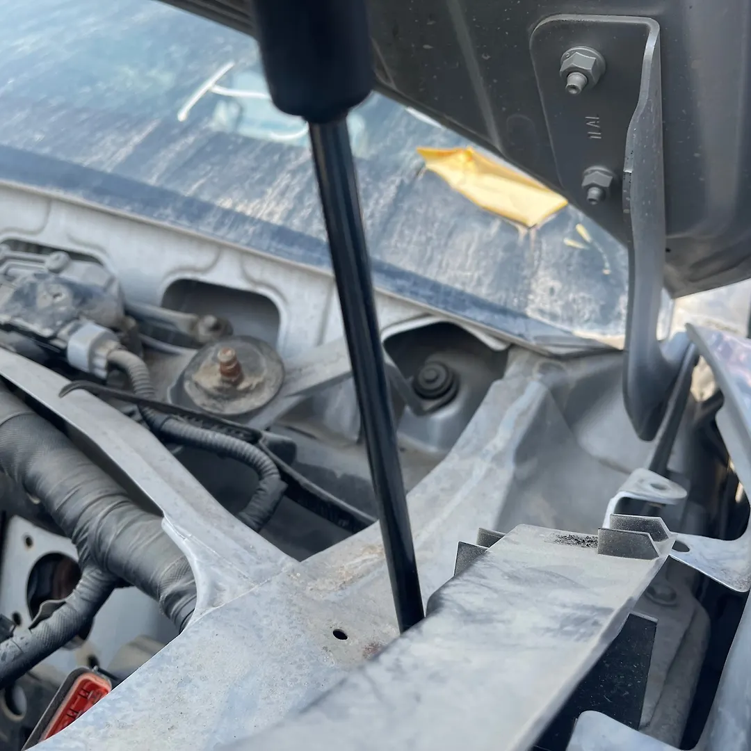 Bonnet Jumping - 2014 Infiniti QX56