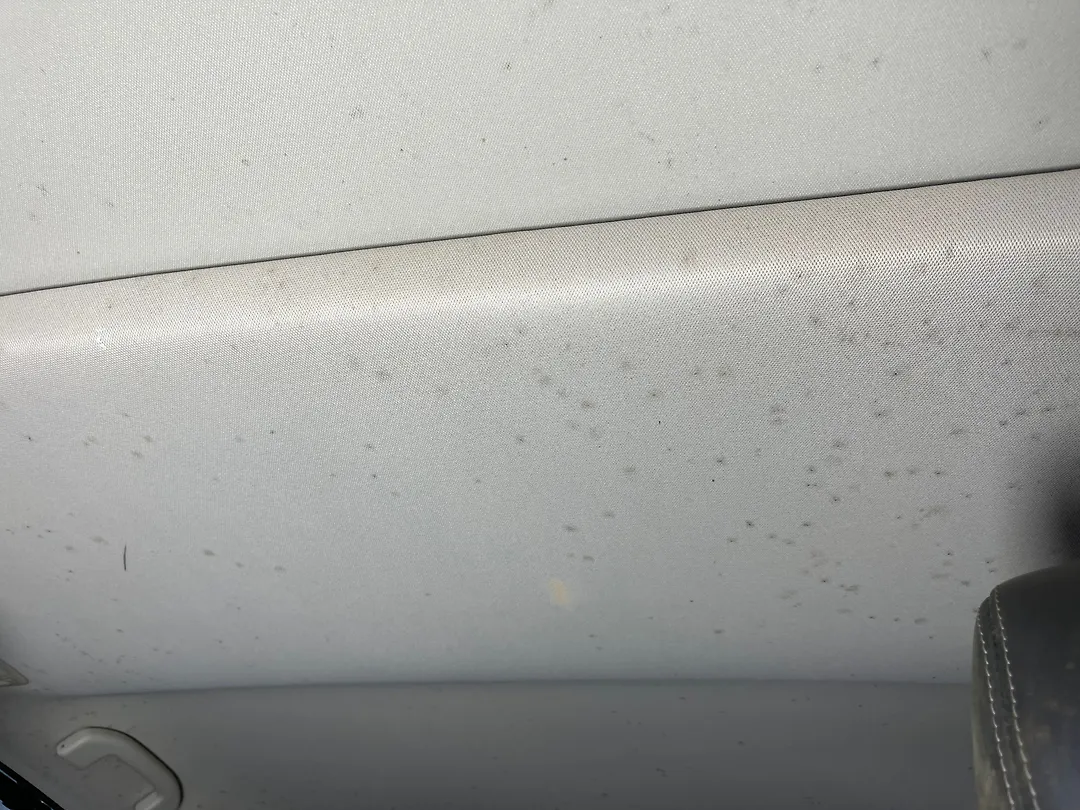 Roof Ceiling - 2017 Infiniti QX60