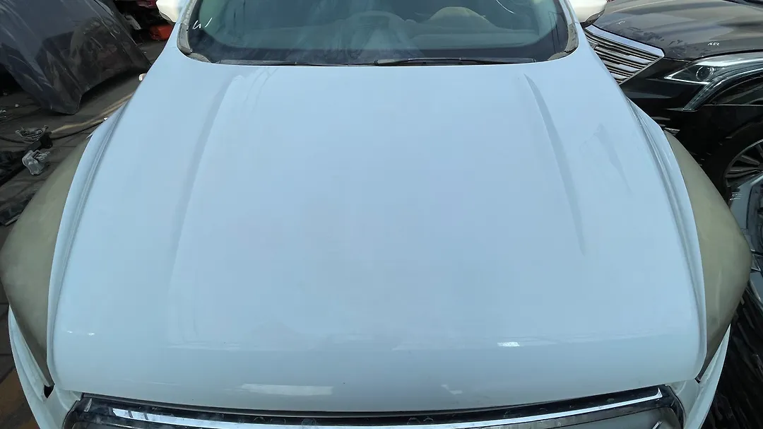 Hood/Bonnet - 2019 Ford Escape