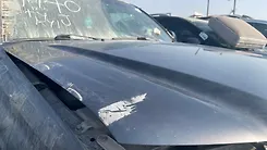 Hood/Bonnet - 2014 Toyota Tacoma Delux Grade