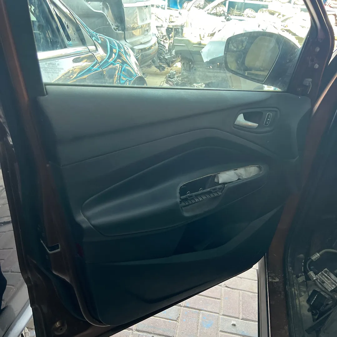 Door (LHF) - 2017 Ford Escape