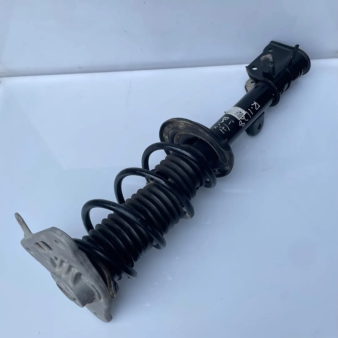 Shock Absober (LHB) - 2018 Jeep Compass