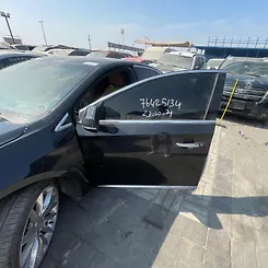 Door (LHF) - 2014 Cadillac XTS