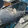 Door (LHF) - 2017 Jaguar F-Pace