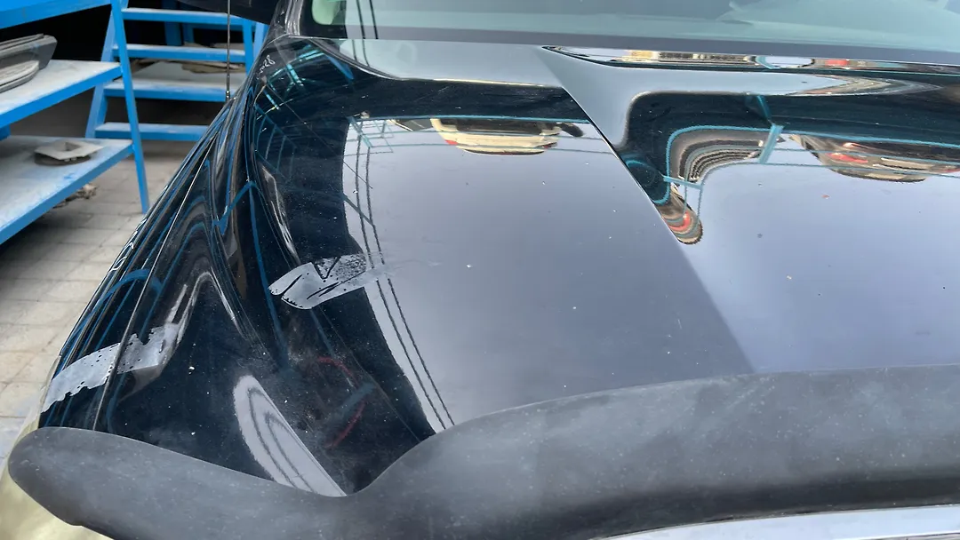 Hood/Bonnet - 2008 Toyota Tundra SR5