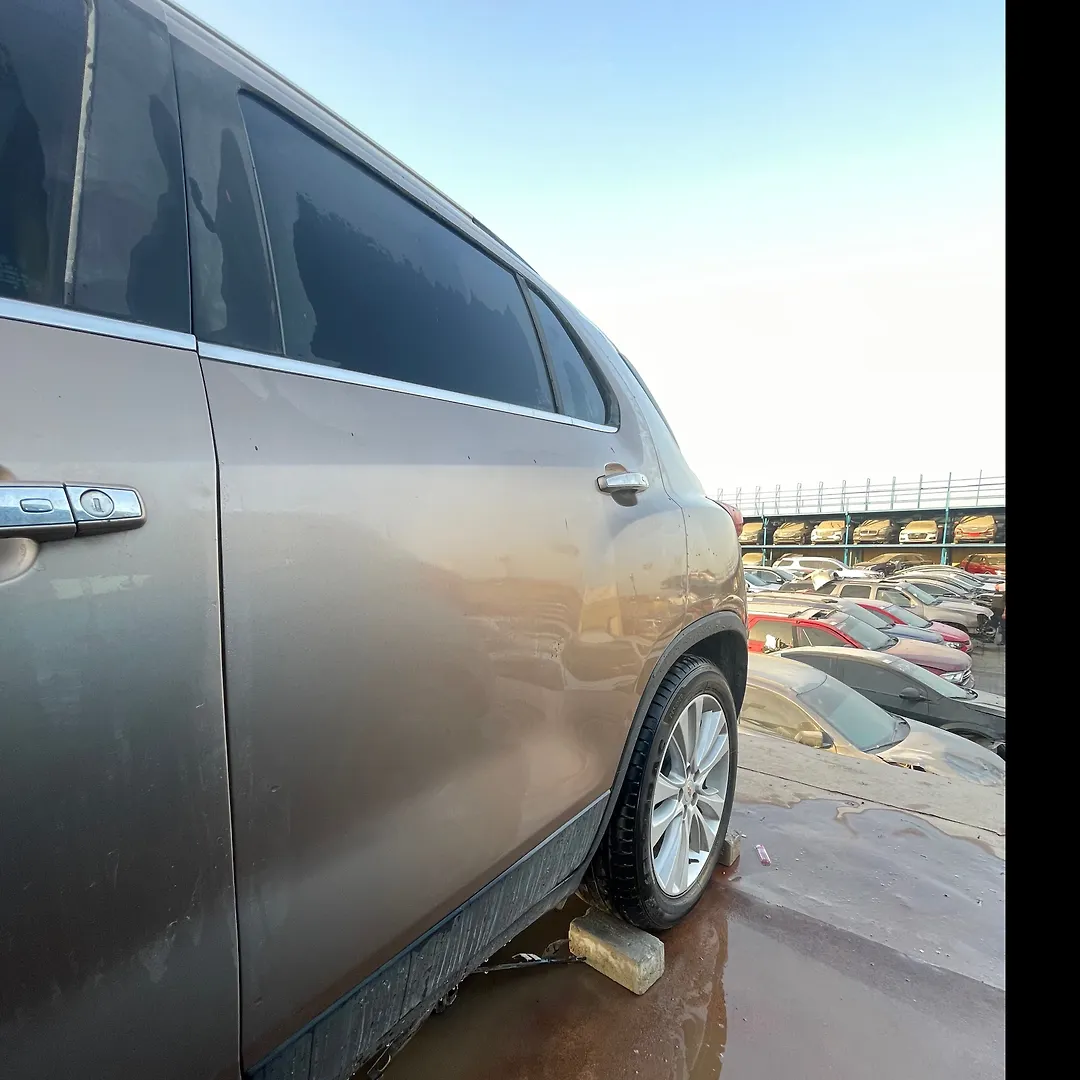 Door (LHB) - 2018 Chevrolet Trax