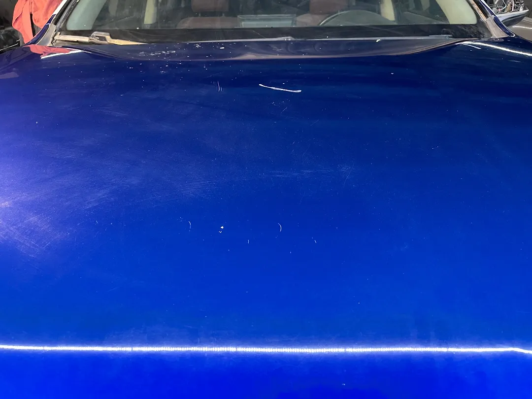 Hood/Bonnet - 2022 Lexus NX300