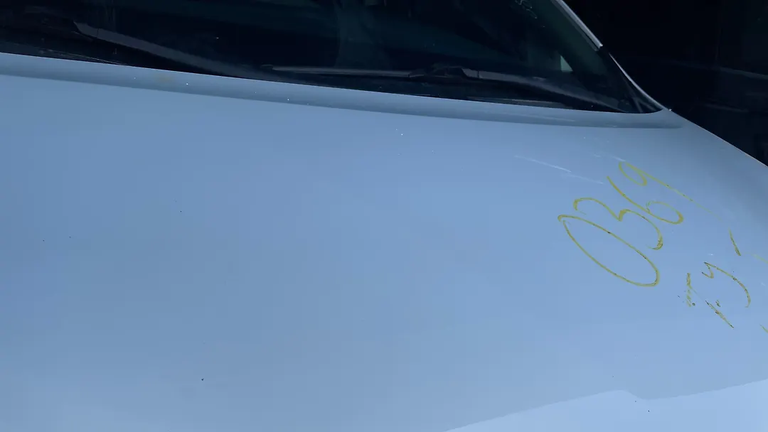 Hood/Bonnet - 2017 Toyota Sienna LE