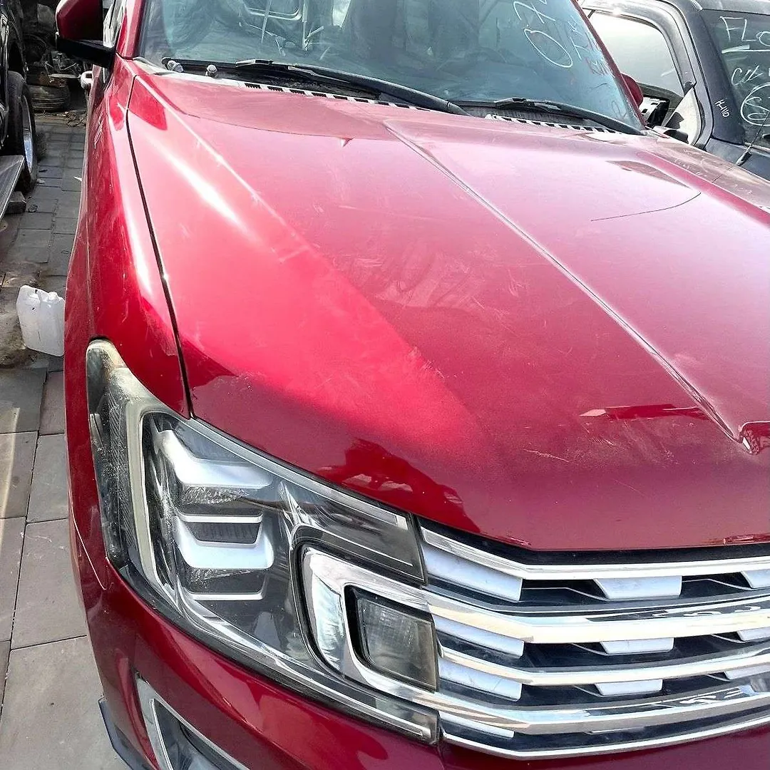 Hood/Bonnet - 2018 Ford Expedition