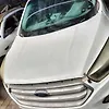 Hood/Bonnet - 2017 Ford Escape