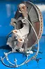 Complete Hub Assembly(RHF) - 2013 Ford Edge SE