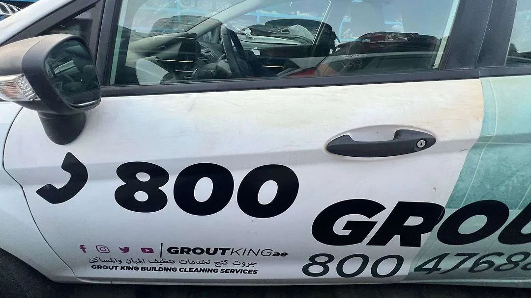 Door (LHF) - 2015 Ford Fiesta