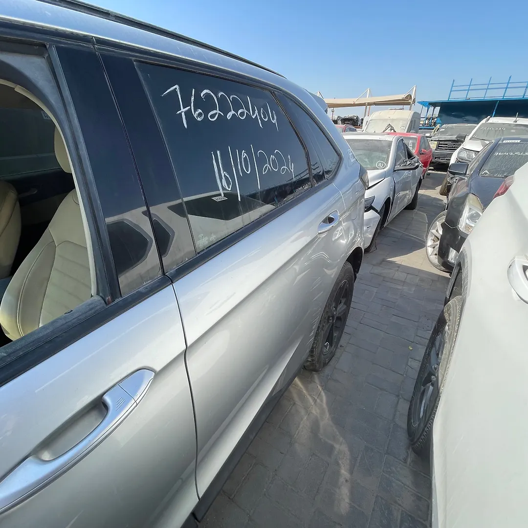 Door (LHB) - 2016 Ford Edge SE