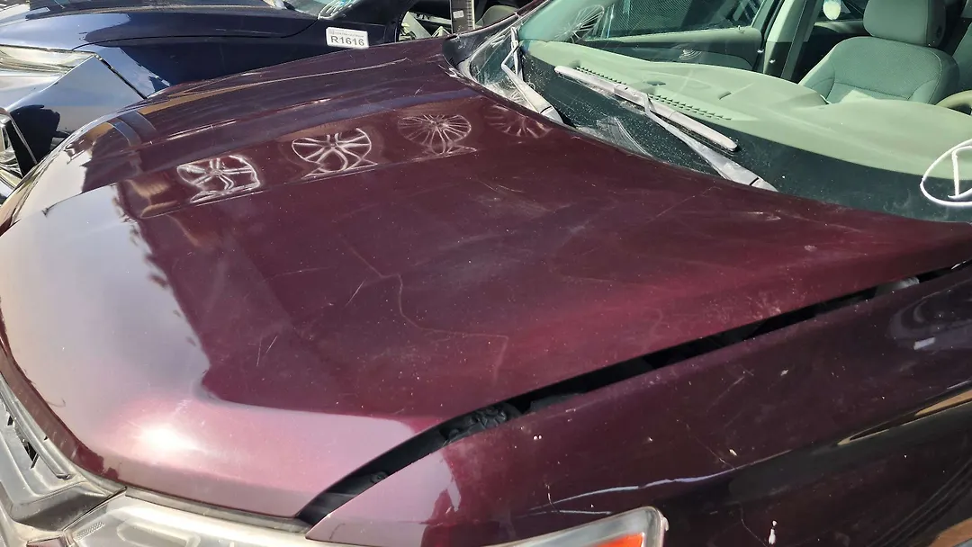 Hood/Bonnet - 2019 Chevrolet Traverse