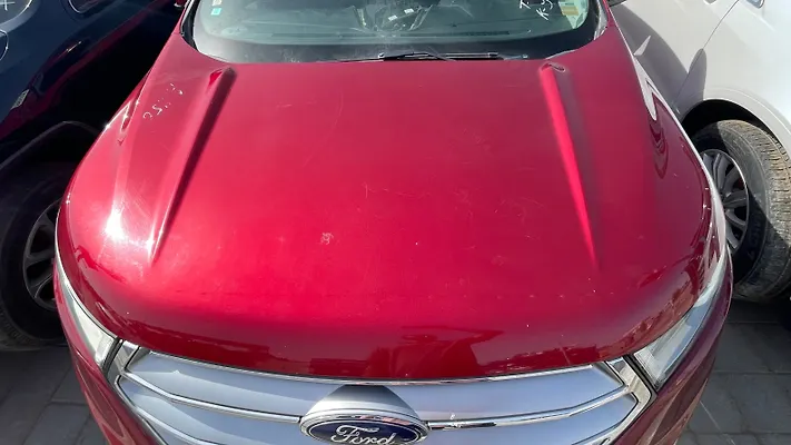 Hood/Bonnet - 2015 Ford Edge SEL