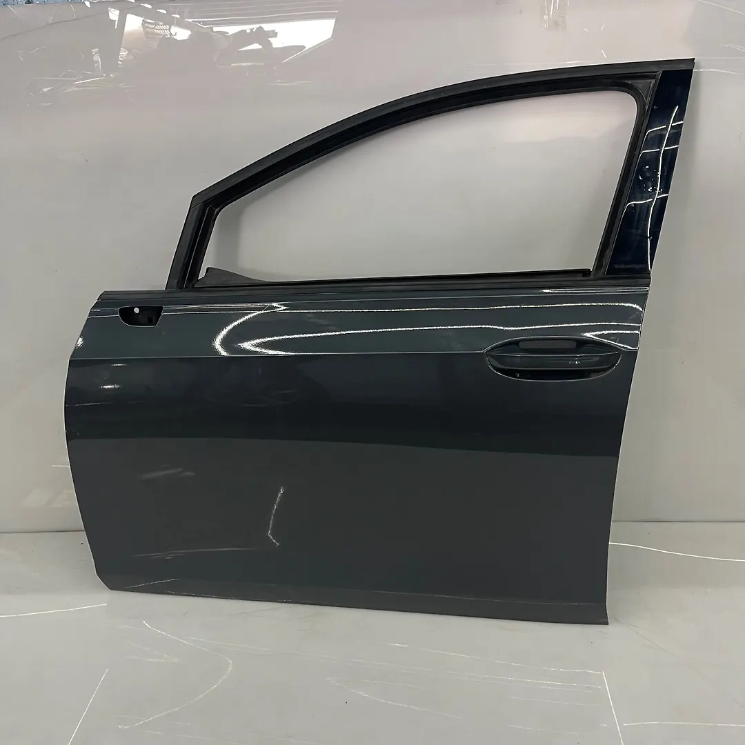 Door (LHF) - 2019 Volkswagen GTI