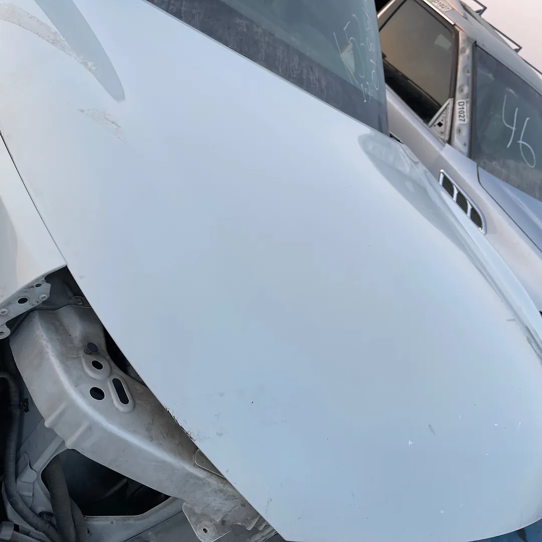Hood/Bonnet - 2013 Infiniti QX56