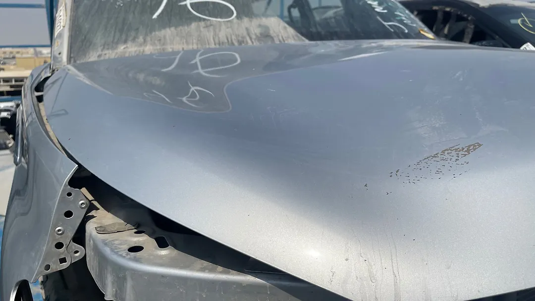 Hood/Bonnet - 2014 Infiniti QX56