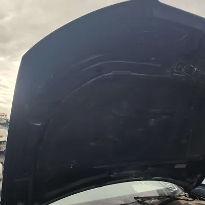 Hood/Bonnet - 2015 Audi A4 Quattro