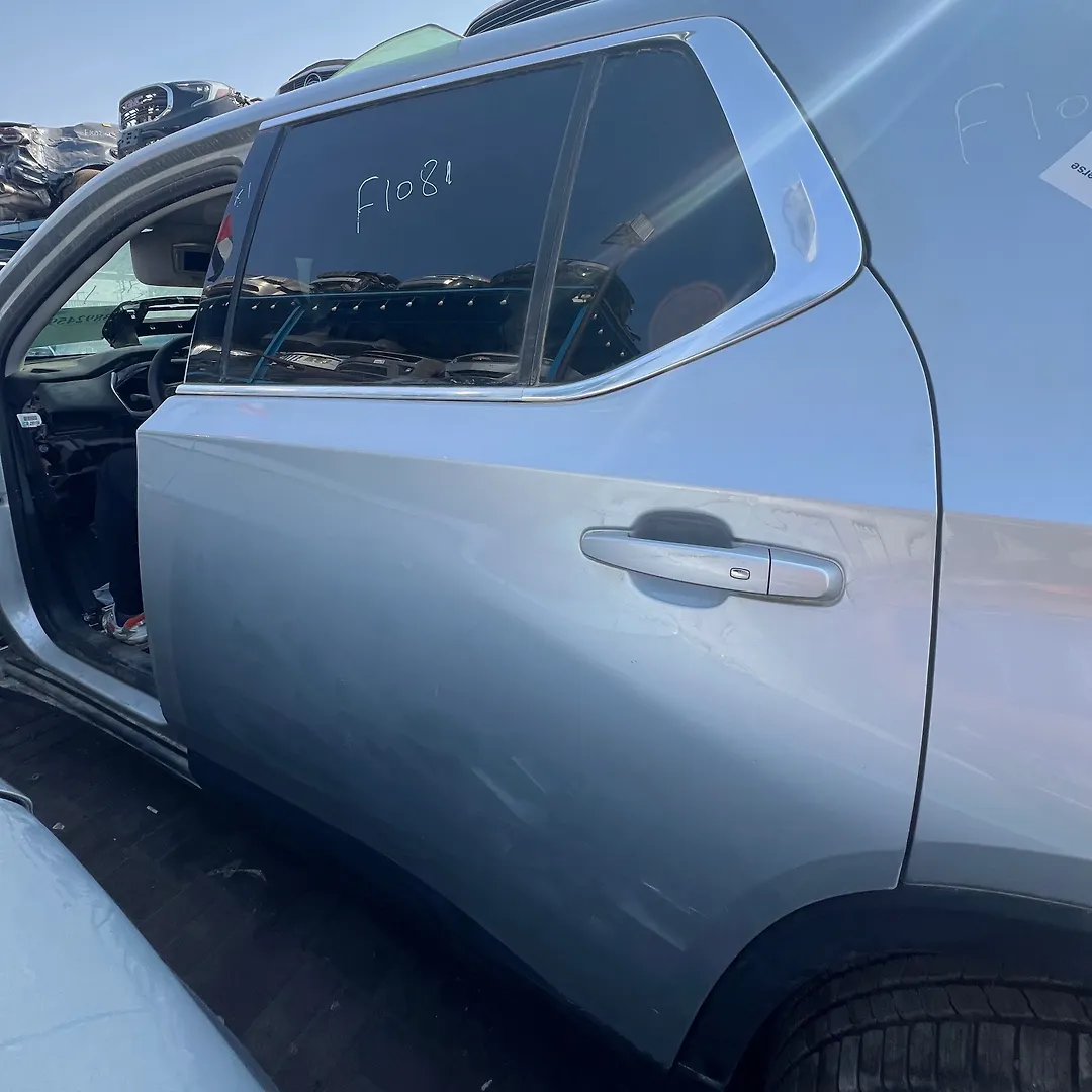 Door (LHB) - 2020 Chevrolet Traverse
