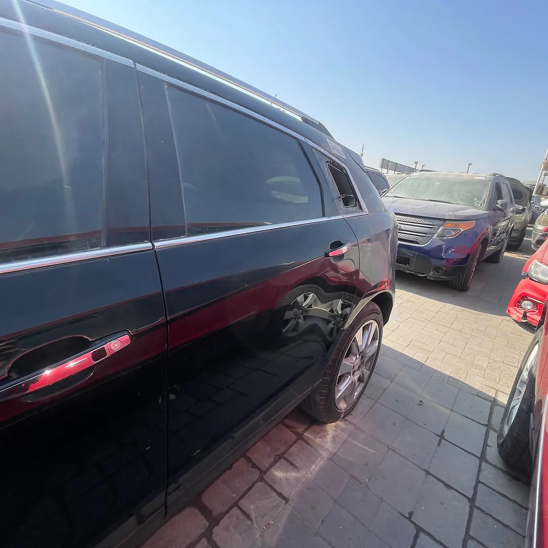 Door (LHB) - 2010 Cadillac SRX Premium