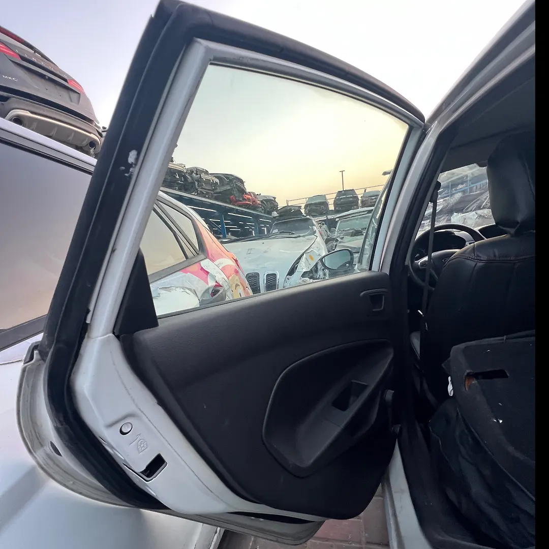 Door (LHB) - 2015 Ford Fiesta