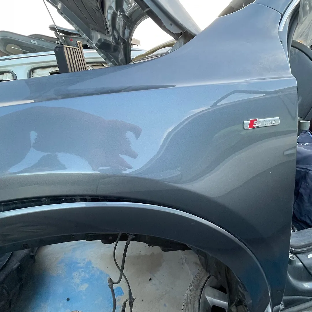Fender (LHF) - 2017 Audi Q3