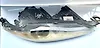 Headlight (RH) - 2016 Jaguar XF
