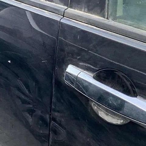 Door (LHF) - 2010 Infiniti QX56 5.6i