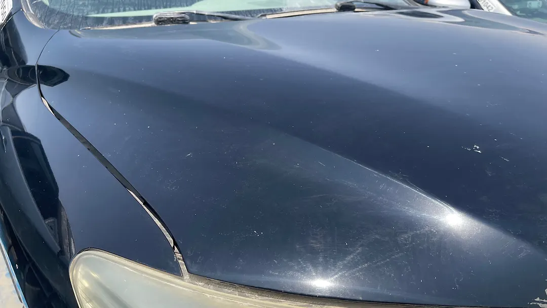 Hood/Bonnet - 2013 Nissan Pathfinder