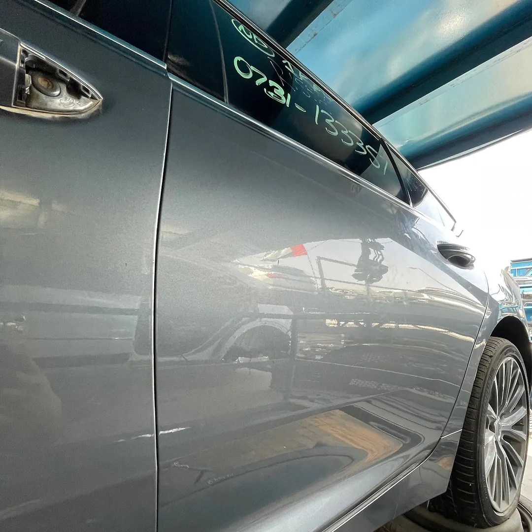 Door (LHB) - 2020 Cadillac CT5