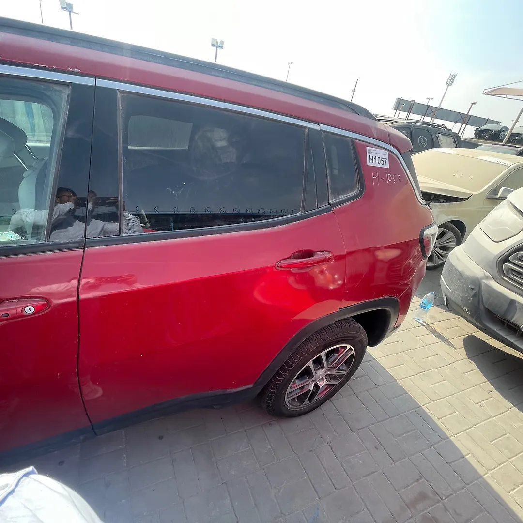 Door (LHB) - 2019 Jeep Compass