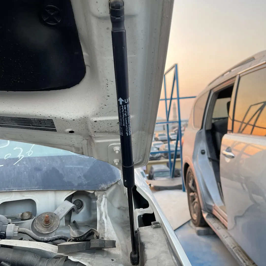 Bonnet Jumping - 2013 Infiniti QX56