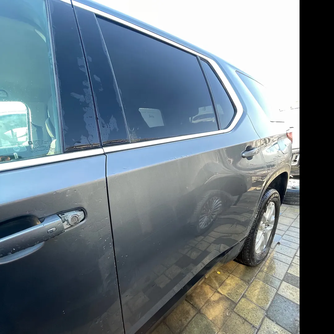 Door (LHB) - 2019 Chevrolet Traverse LS