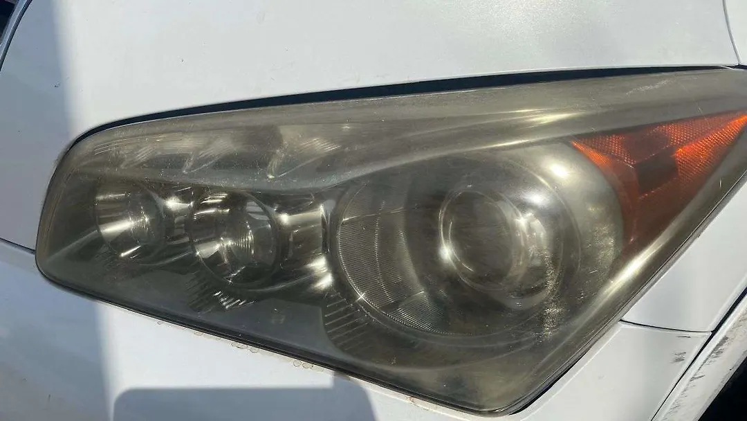 Headlight (LH) - 2011 Infiniti QX56