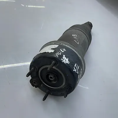 Shock Absober (LHB) - 2007 Audi Q7