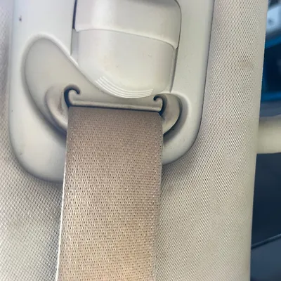 Seat Belt (RHF) - 2014 Infiniti QX80 SUV