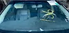 Windshield glass - 2014 Nissan Pathfinder