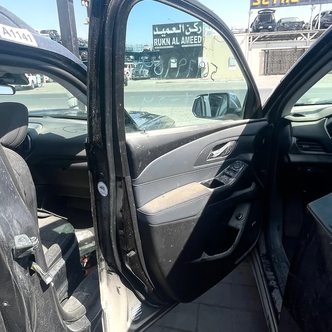 Door (LHF) - 2019 Chevrolet Traverse