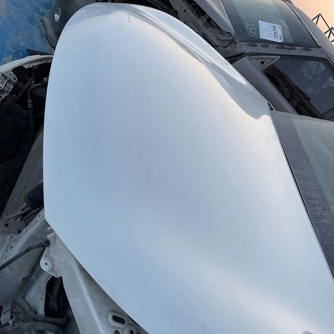Hood/Bonnet - 2013 Infiniti QX56