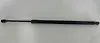 Hood strut - 2021 Ford Bronco Sport BIG BEND