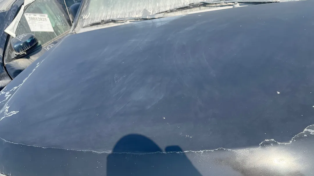 Hood/Bonnet - 2008 Nissan Xterra