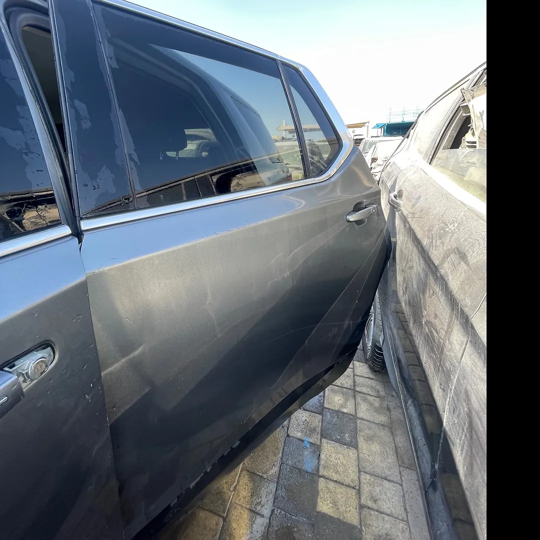 Door (LHB) - 2019 Chevrolet Traverse LS