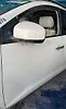 Door (LHF) - 2011 Nissan Murano